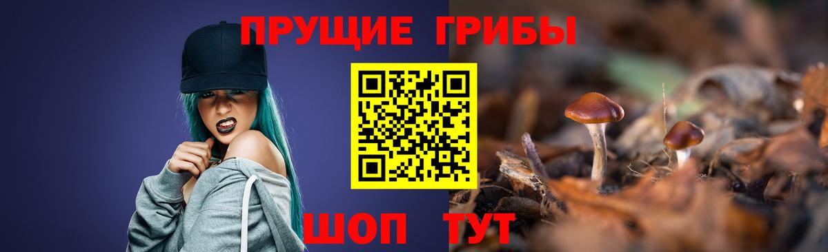 Калач-на-Дону  Галлюциногенные грибы Cubensis  Галлюциногенные грибы Cubensis  Вход с VPN 